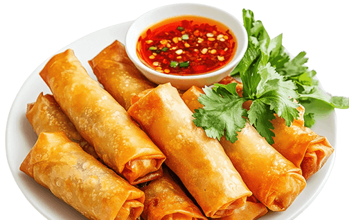 Patiala food hub - Spring roll